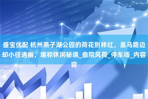 盛宝优配 杭州燕子湖公园的荷花别样红，虽马路边却小径通幽，堪称休闲秘境_曲院风荷_停车场_内容