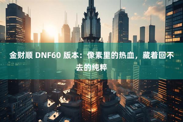 金财顺 DNF60 版本：像素里的热血，藏着回不去的纯粹